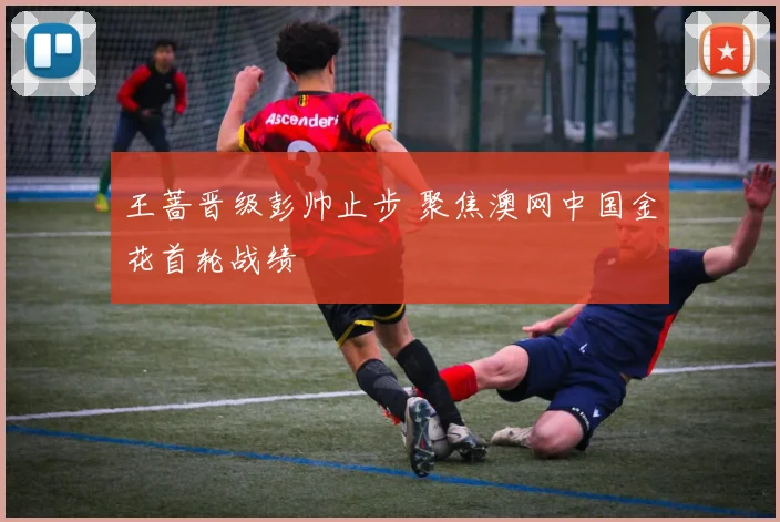 王蔷晋级彭帅止步 聚焦澳网中国金花首轮战绩