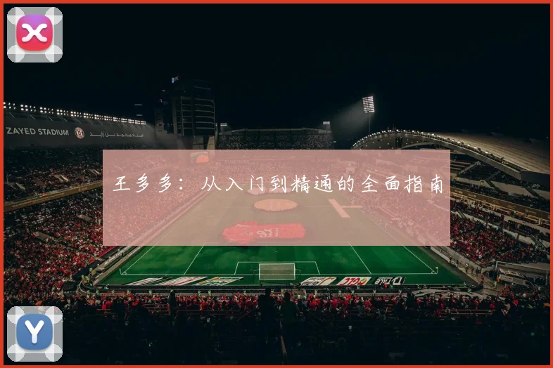 王多多：从入门到精通的全面指南