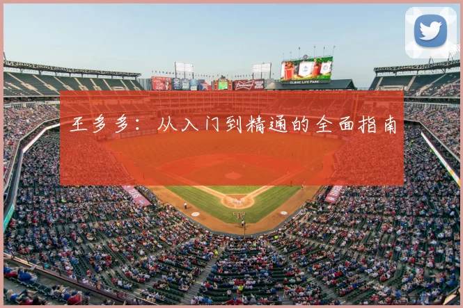 王多多:从入门到精通的全面指南